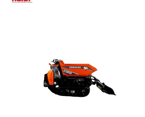Motocarriola Dumper 800kg 8